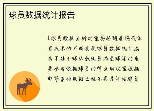 球员数据统计报告